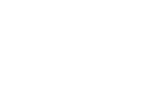 9 Monkeys of Shaolin