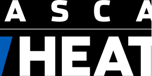 NASCAR Heat 5