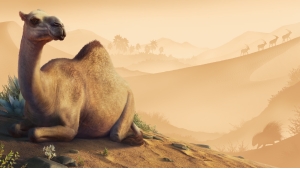Planet Zoo: The Arid Animal Pack