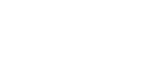 Town to City - Early Access