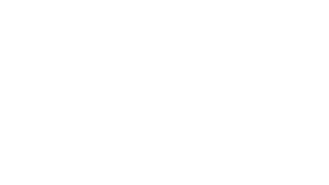 Vartio