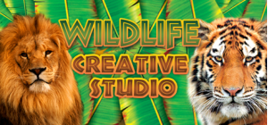 The Wildlife Creative Studio
